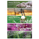 Birthday Bookmarks (10 PK)