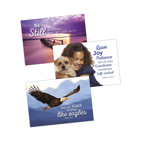 Blank Greeting Cards (8 PK)